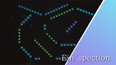 Ein’spection